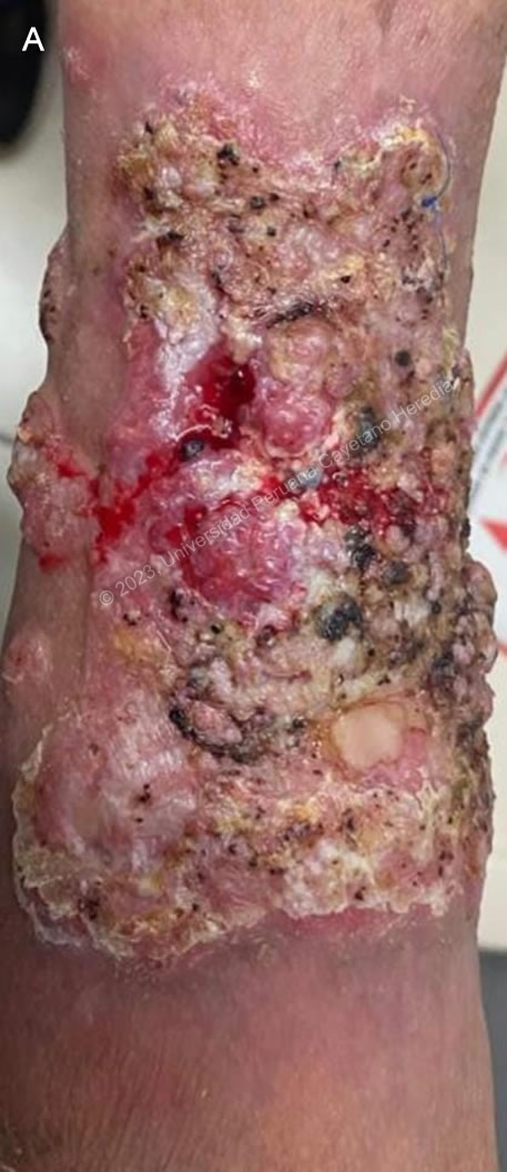 Image for Case 2023-08