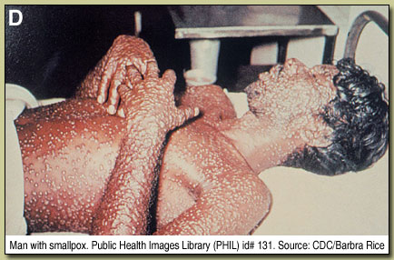 Image for 04/03/06 Discussion