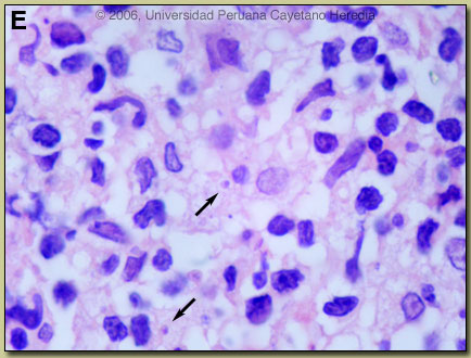 Image for 09/01/06 Discussion