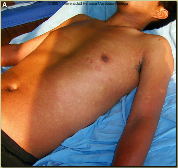 Image A for 02/16/07