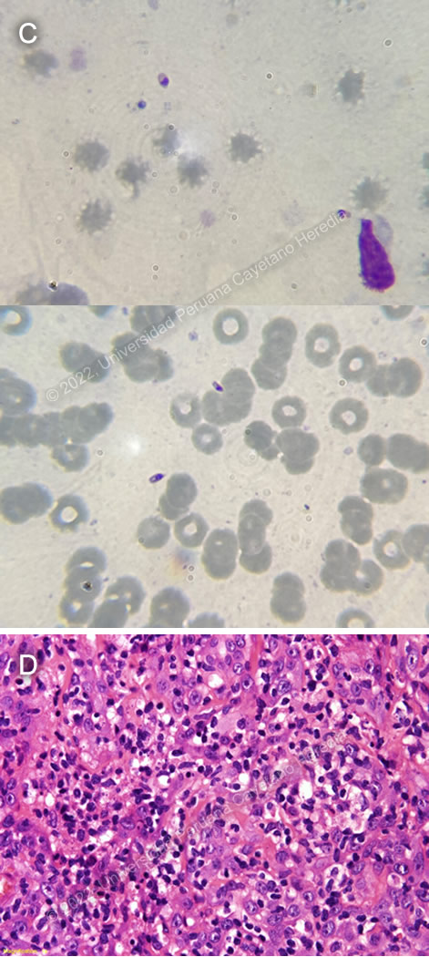 Images for Case 2022-08