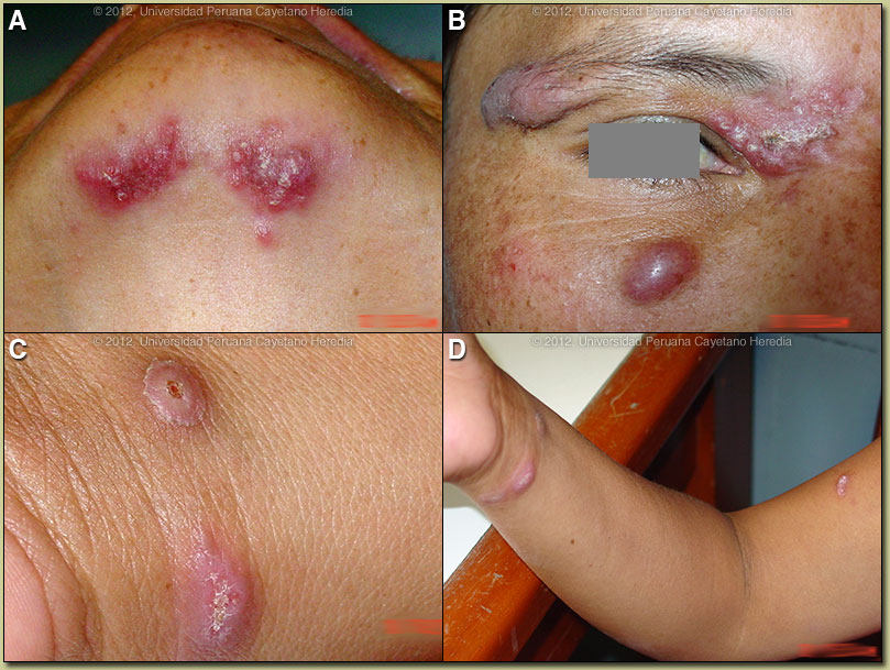 Image ABCD for 02/27/2012