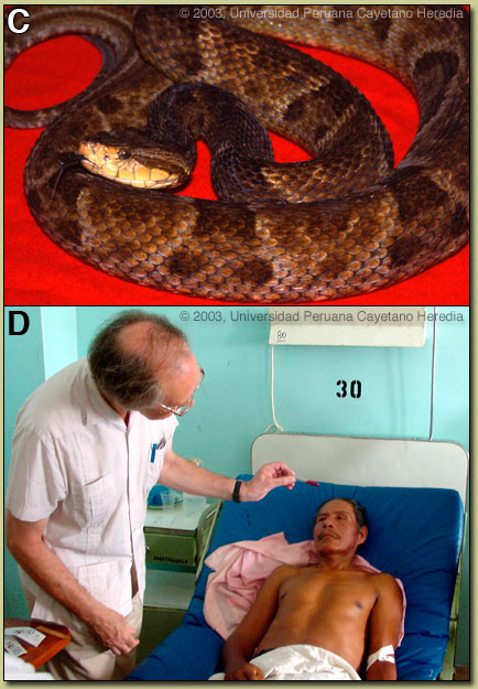 Image CD for 02/10/2014 Discussion