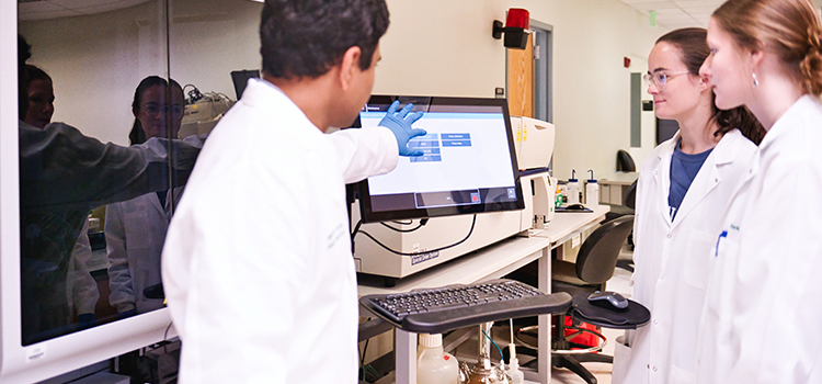 RS37079 global web International researchers 21 scr