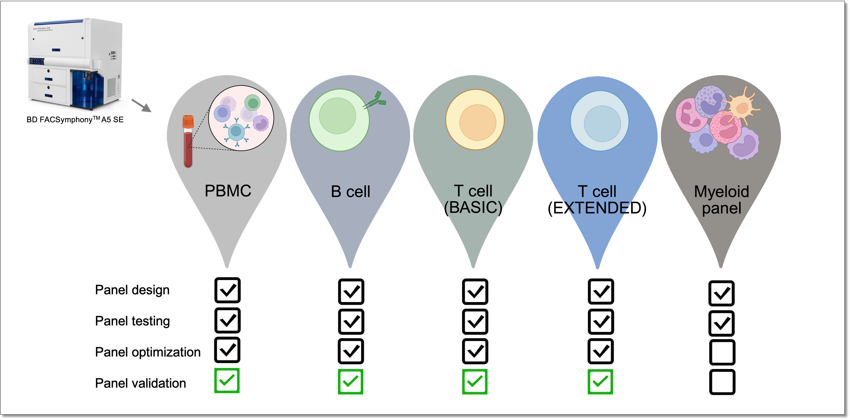 Which immunophenotyping panels are available?