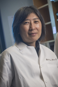 Hui-Chen Hsu, Ph.D.