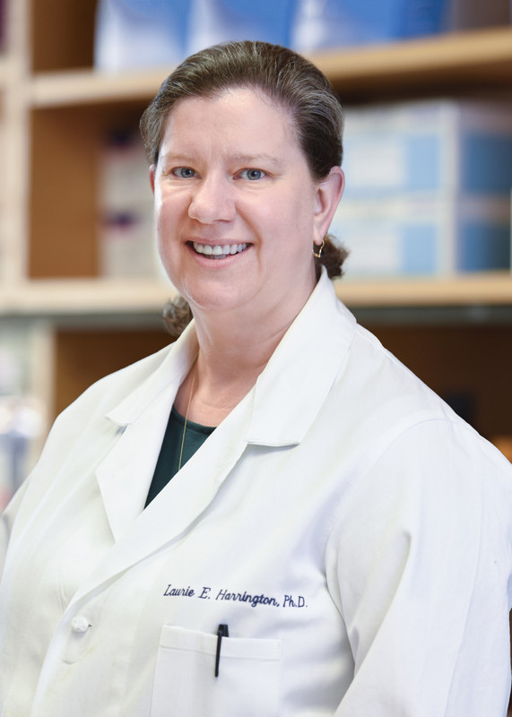 Laurie E. Harrington, Ph.D.