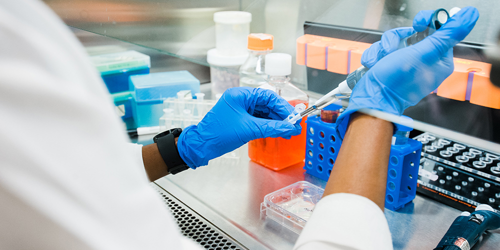 LHC Research Programs Banner