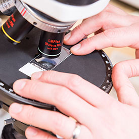 Anderson Urology 275x275