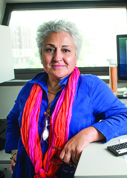 Environmental shot of Dr. Haydeh Payami, PhD (Professor, Neurology) standing in front of computer monitors at her desk, 2015.