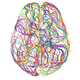 Using Your Brain 275x275