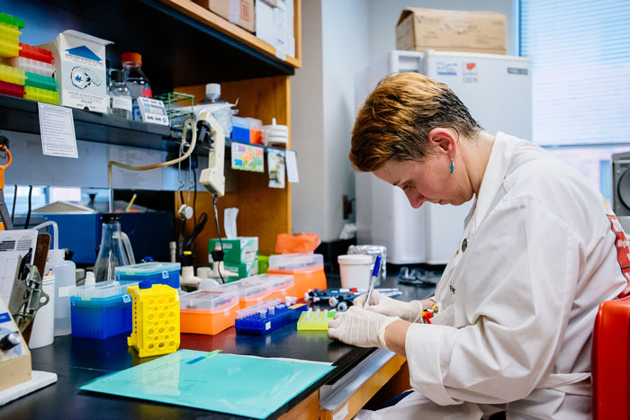 magic city murals3 LR