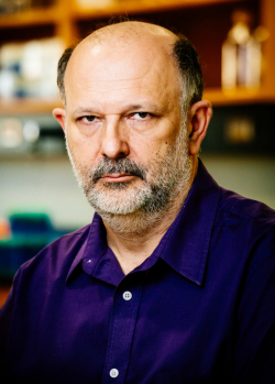 Vladimir Parpura, M.D., Ph.D.