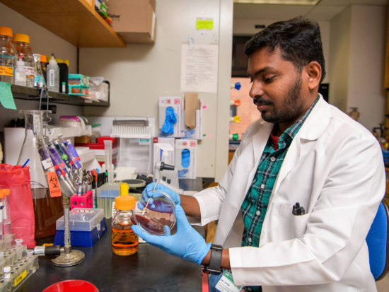 Chembilikandy at Bench