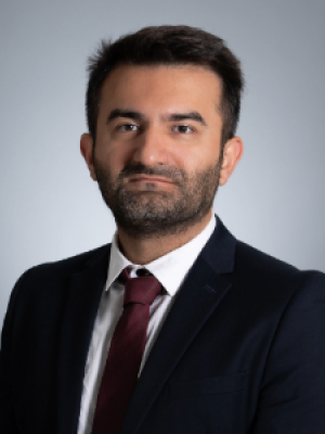 Mollaoglu, Gürkan, Ph.D.