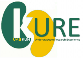 KURE (Kidney, Urology, and Hematology Undergraduate Research Experience)
