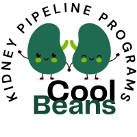 Kidney Pipeline Programs