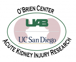 O'Brien Center Medical Student Research Program