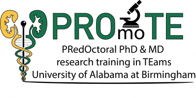 PROmoTE (PRedOctoral PhD & MD research training in TEams)