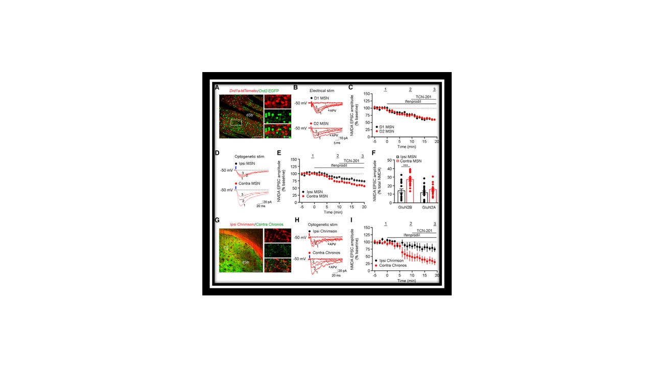 Pozzo Miller 12122019