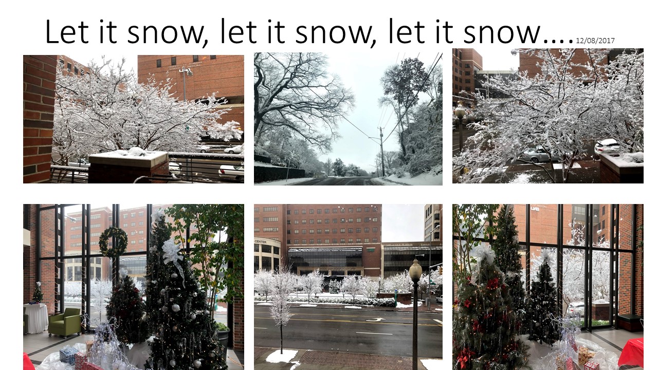 Snow 122017
