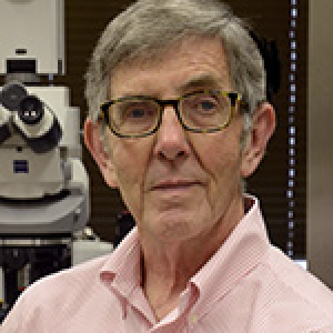 Hablitz, John J., Ph.D.