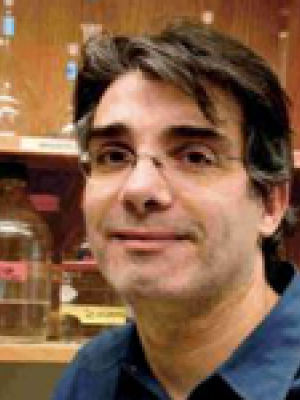 Wadiche, Jacques, Ph.D.