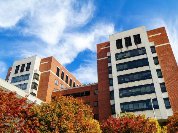 Over 40 UAB Department of Surgery providers recognized for excellence in patient care