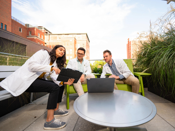 Medical students reviewing material online