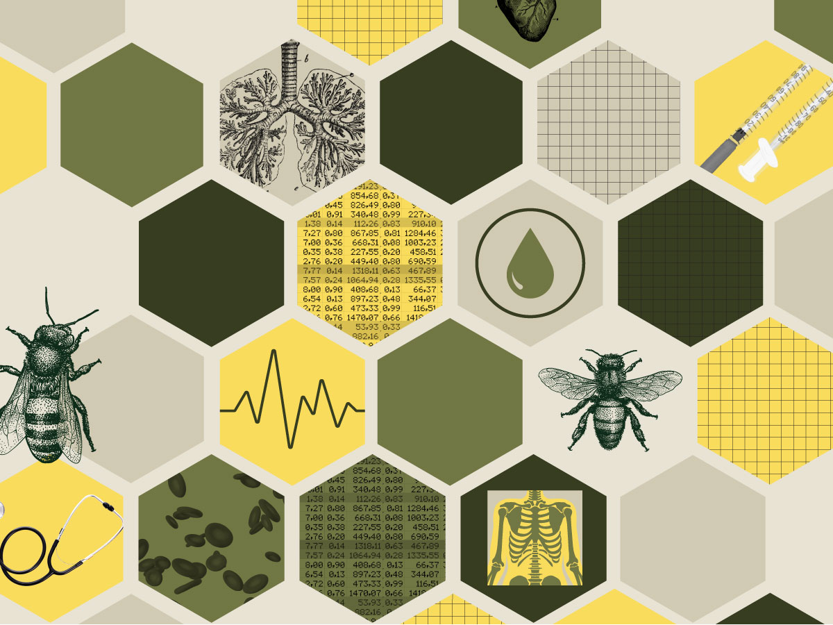 Buzzing with Innovation: Heersink’s thriving start-up culture is producing creative solutions to improve health care outcomes