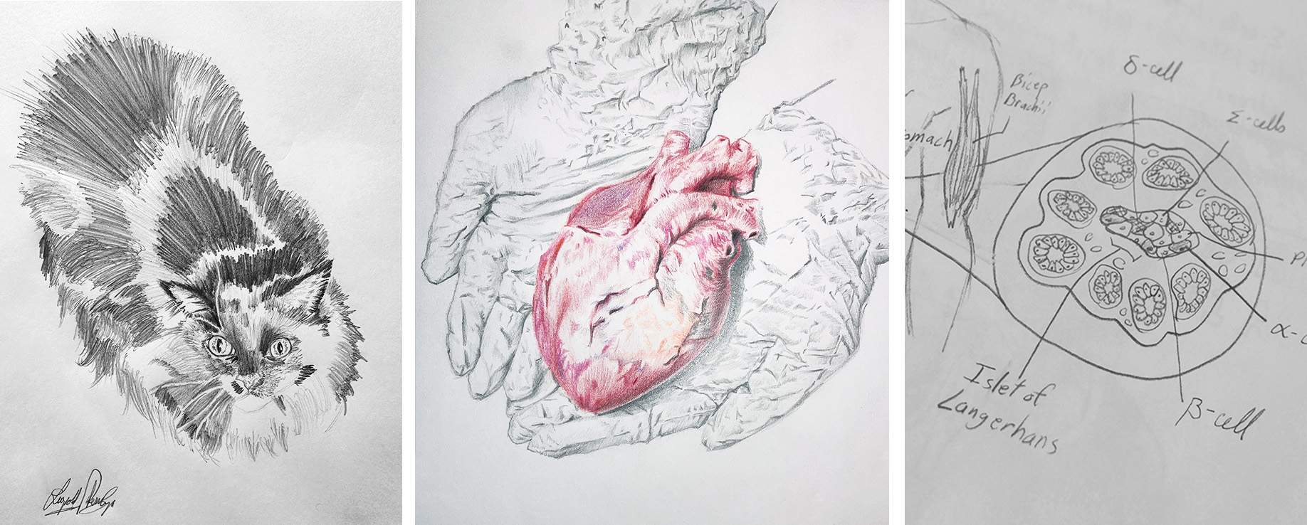 More examples of Nkengbeza’s work
