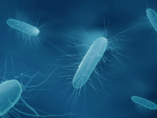 UAB researchers develop new RNA-based molecular test to more accurately diagnose hospital-acquired illness