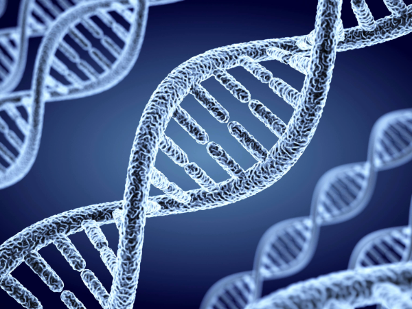 Genetic mutations linked to higher risk of second cancers in childhood cancer survivors