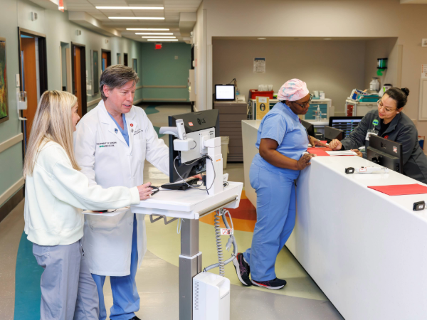 Excellence Through Partnership: A dyad leadership model to strengthen clinical operational performance