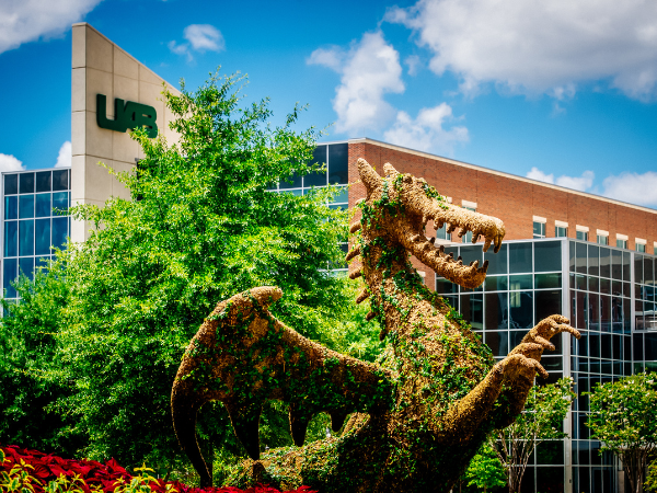 UAB dragon topiary