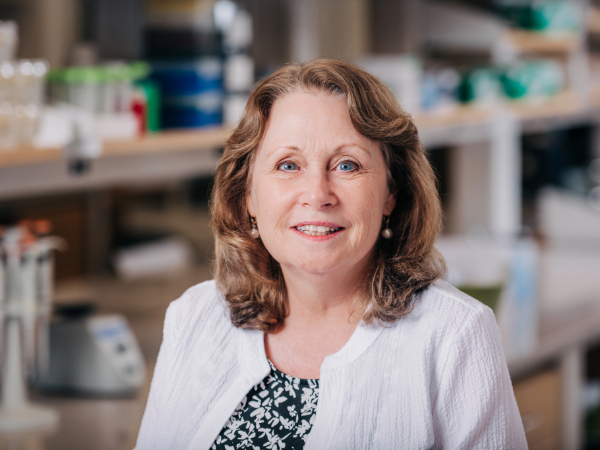 Meet the Minds of CDIB: Bellis’ path to cancer research and mentorship