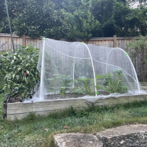 boarers trap