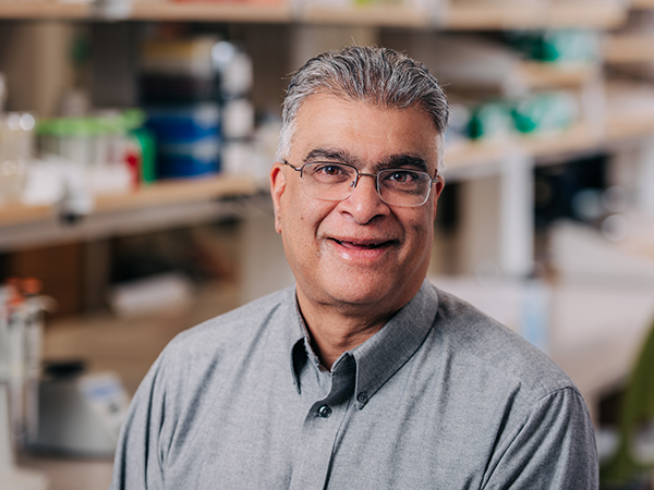 Ramanadham named Blazer Bridge Fund winner