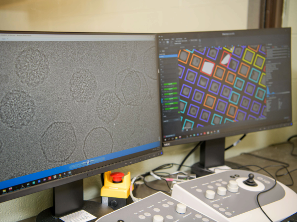 Tech spotlight: How cryo-EM at UAB is transforming disease research