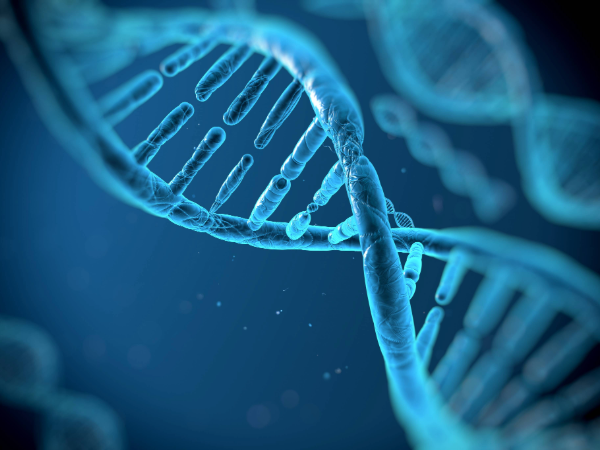 UAB-led national study examines how genetic risk information could improve disease prevention