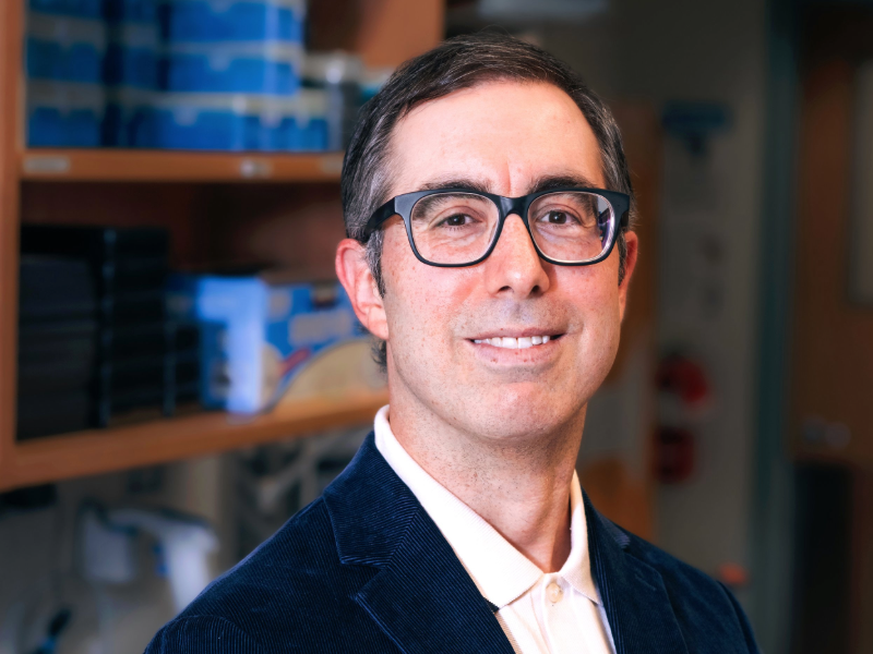 Herskowitz investigates neurofibrillary tangles contributing to Alzheimer’s disease