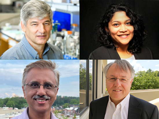 2026 pilot grant awardees announced for the Mary Heersink Institute for Global Health