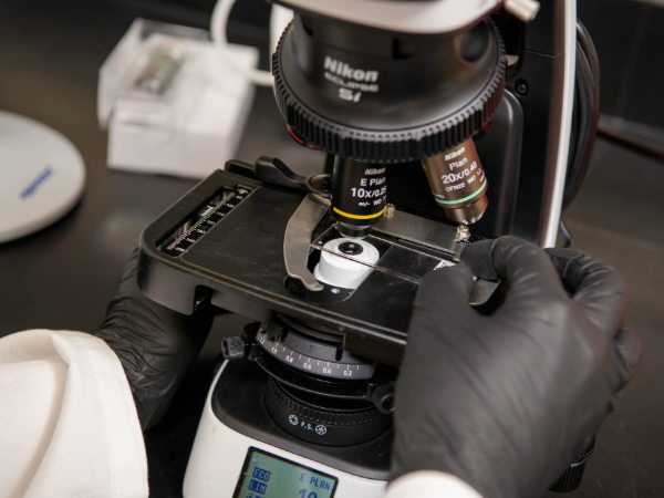 Department of Microbiology Grants Club aims to strengthen faculty grant applications through collaboration and feedback