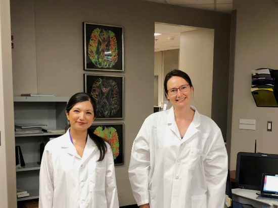 Demirayak’s new Journal of Neuroscience study explores the brain's one-of-a-kind wiring