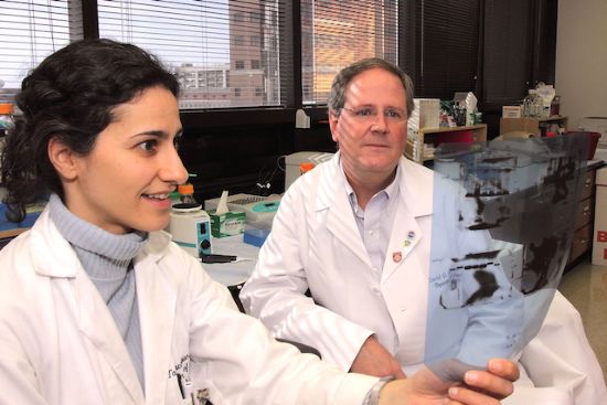 Dr. Talene Yacoubian and Dr. David Standaert in 2009.