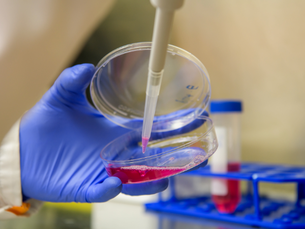 Department of Microbiology welcomes incoming GBS Microbiology and Immunology theme students