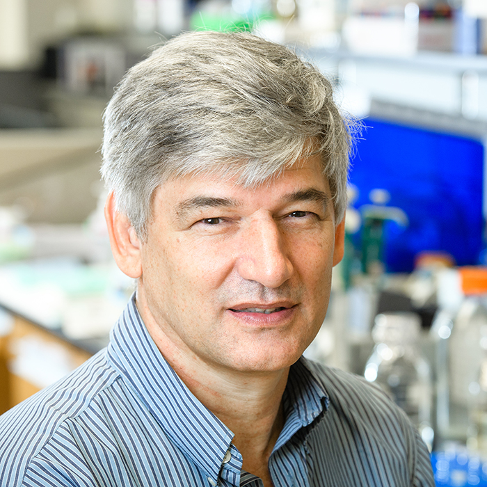 Environmental headshot of Dr. Andries Steyn, PhD (Professor, Microbiology) in his laboratory, 2019.