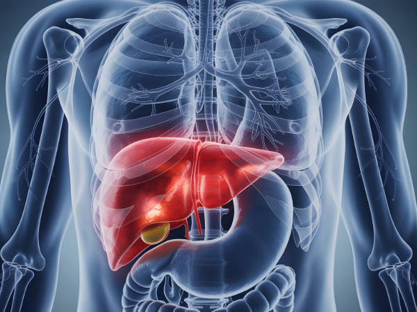 UAB and Children's of Alabama perform split-liver transplantation