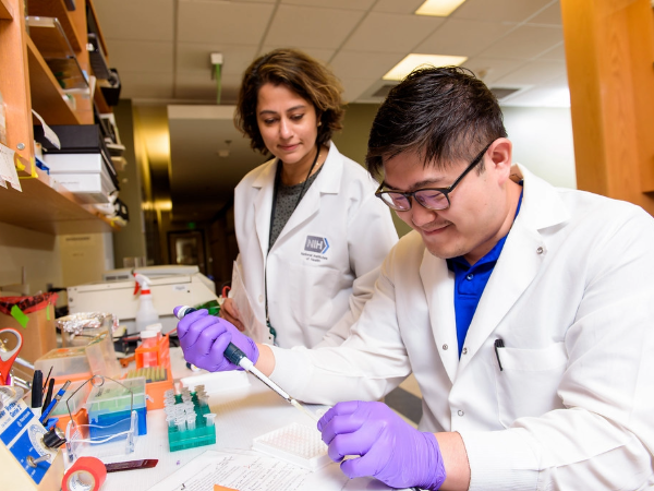 UAB Translational and Molecular Sciences Training Program renewed for another five years