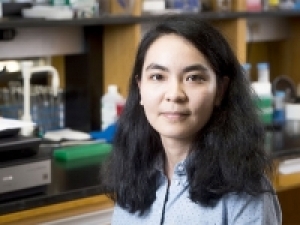 Jia Cui wins graduate travel award from the American Society for Biochemistry and Molecular Biology
